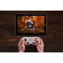 8BitDo Pro 2 Wired Controller for Switch, Windows, Steam Deck & Raspberry Pi, G Color