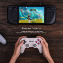 8BitDo Pro 2 Wired Controller for Switch, Windows, Steam Deck & Raspberry Pi, Gray