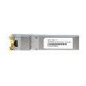 BPI 10GBASE-T Copper SFP+ Transceiver SFP+-10GBASE-T-RM