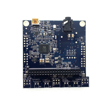 Banana Pi BPI-AI-Voice (Microsemi) Development Kit Banana Pi BPI-AI-Voice (Microsemi) Development Kit