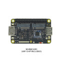Sipeed Lichee RV Dock Allwinner D1 SoC RISC-V Linux Development Kit, High Integration, Open-Source